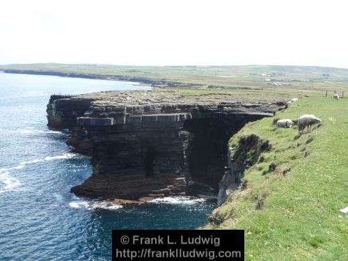 Around Downpatrick Head